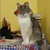 Отзыв от Инна Русанова
